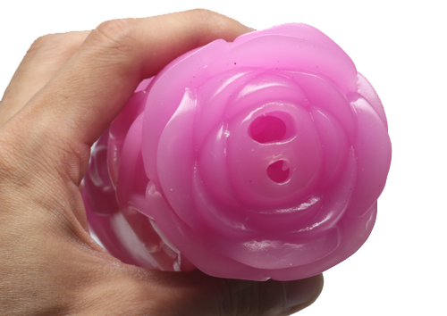 処女の呪いを解け!〜薔薇の処女とイジワルな魔女〜