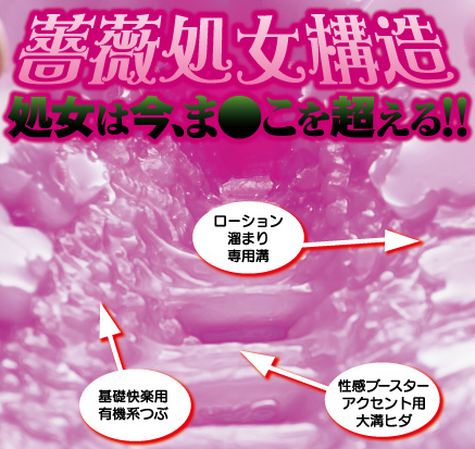 処女の呪いを解け!〜薔薇の処女とイジワルな魔女〜