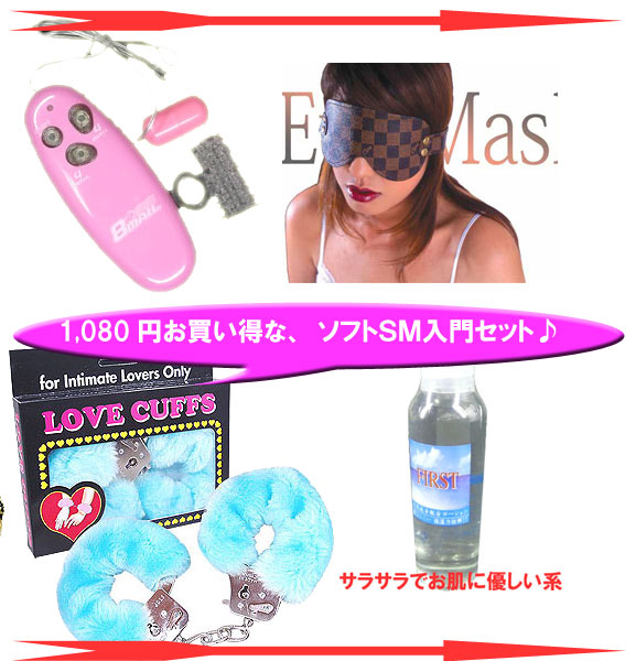 ソフトSM入門セット