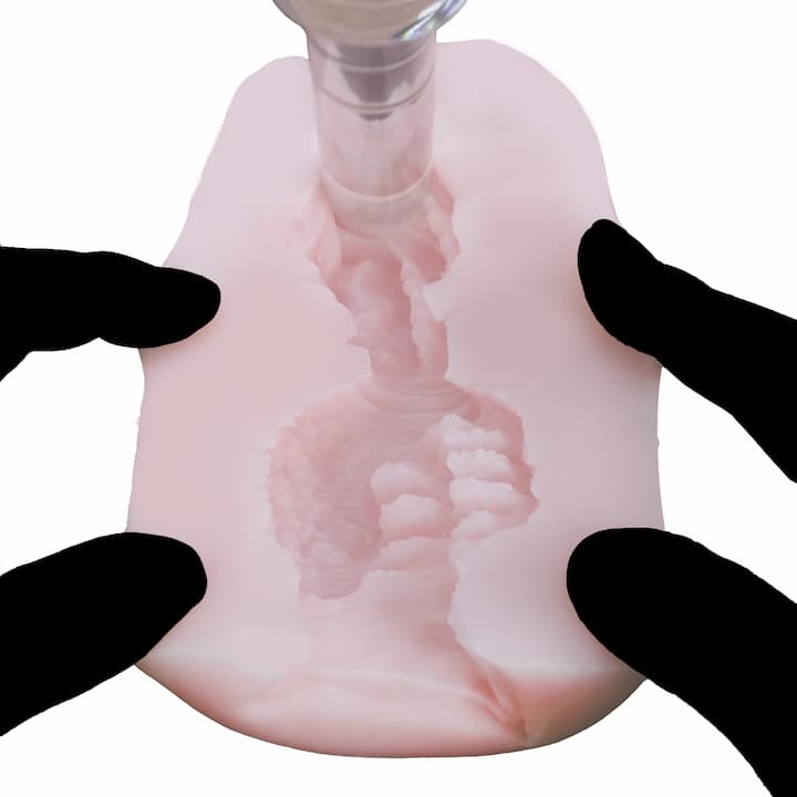 人妻なのにあなたの肉便器を開いて透明スティックを挿入した内部。うねるヒダ構造が奥まで続く