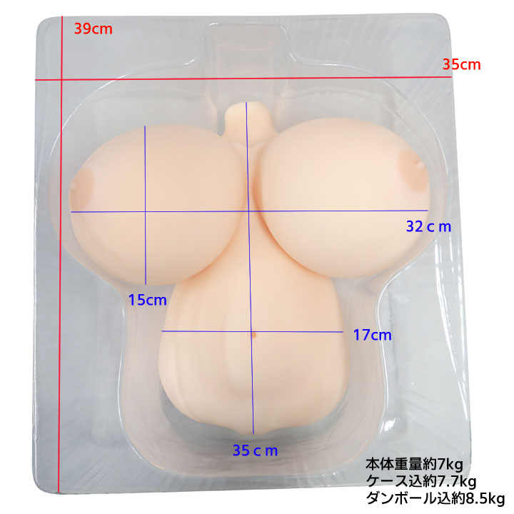 パイナちゃんの専用ケース収納と各部寸法