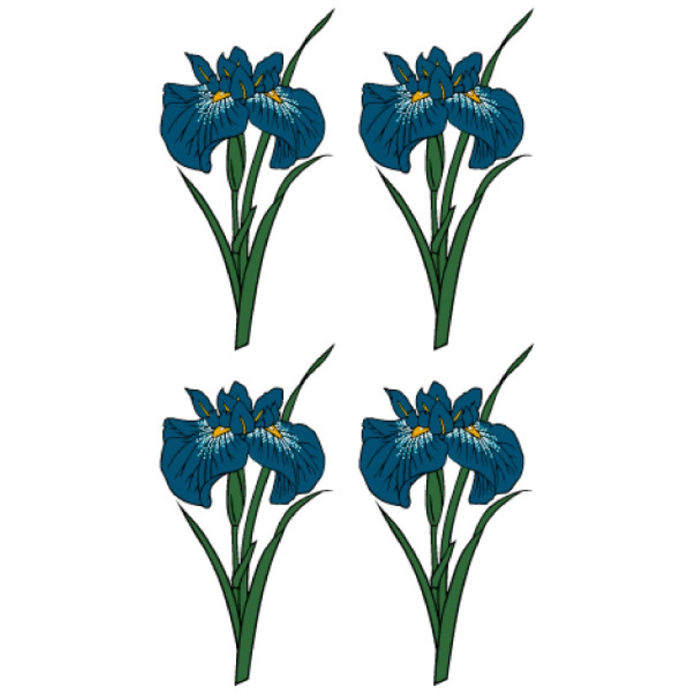 TATTOO（タトゥ）　Regular274