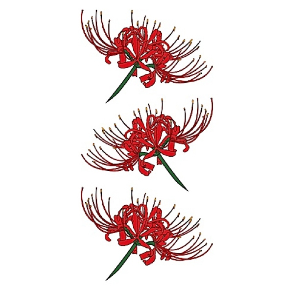 TATTOO（タトゥ）　Regular267