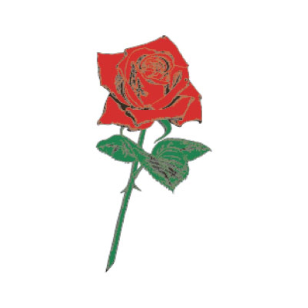 TATTOO（タトゥ）　mini107