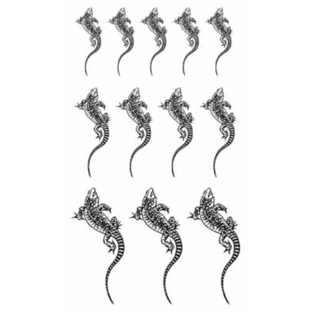 TATTOO（タトゥ）　Regular179