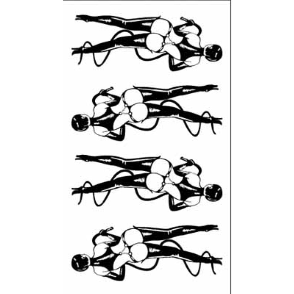 TATTOO（タトゥ）　Regular183