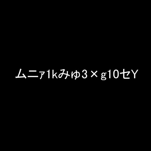 ムニァ1kみゅ3×g10セY
