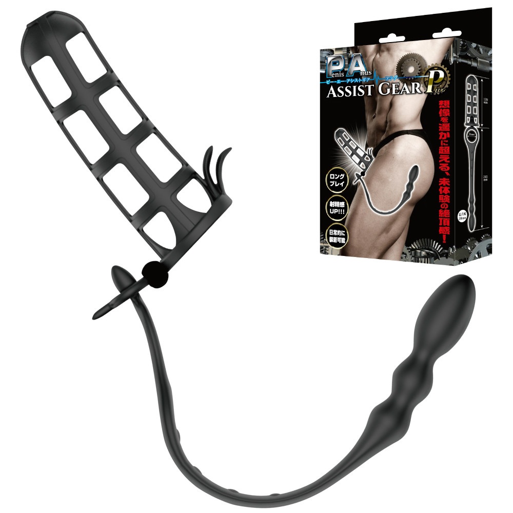 PAアシストギア プラグ