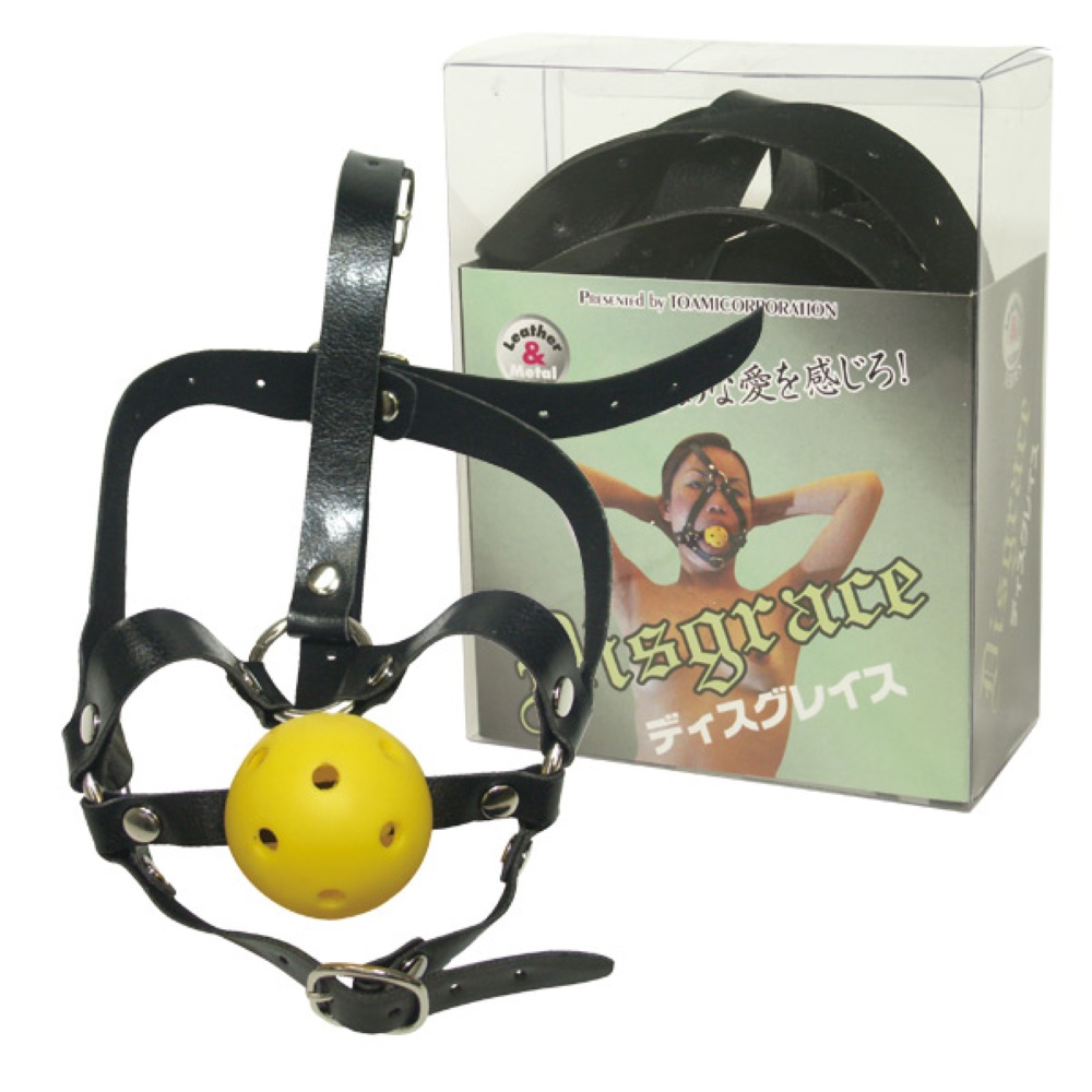 ディスグレイス