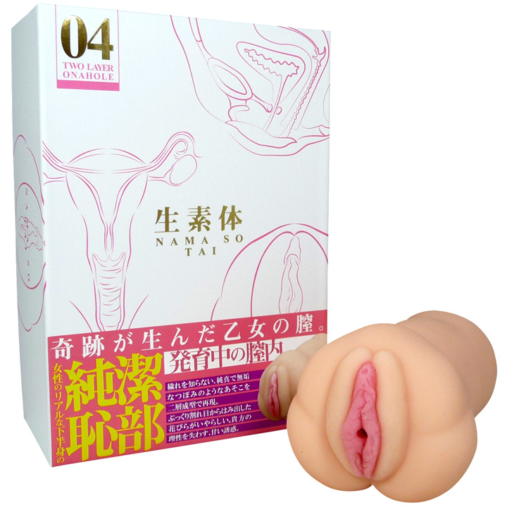 生素体 04