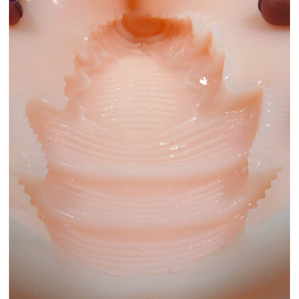 ぷにぼでぃ エクスタシー