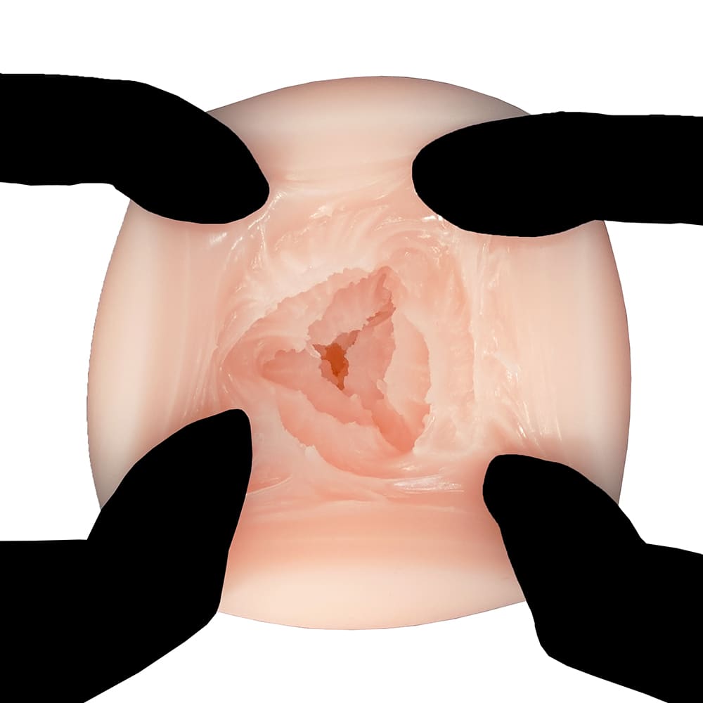 COOLP36内部構造２