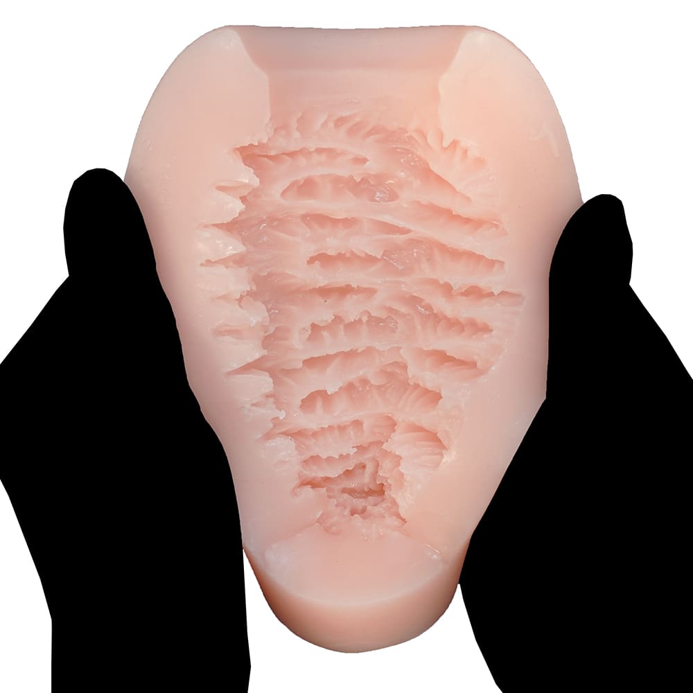 COOLP36内部構造3