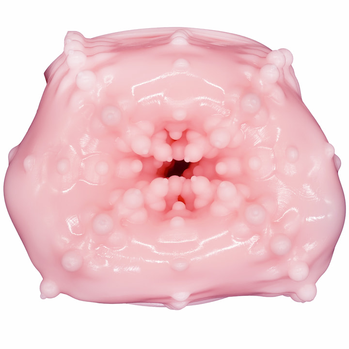 COOLP39内部構造4