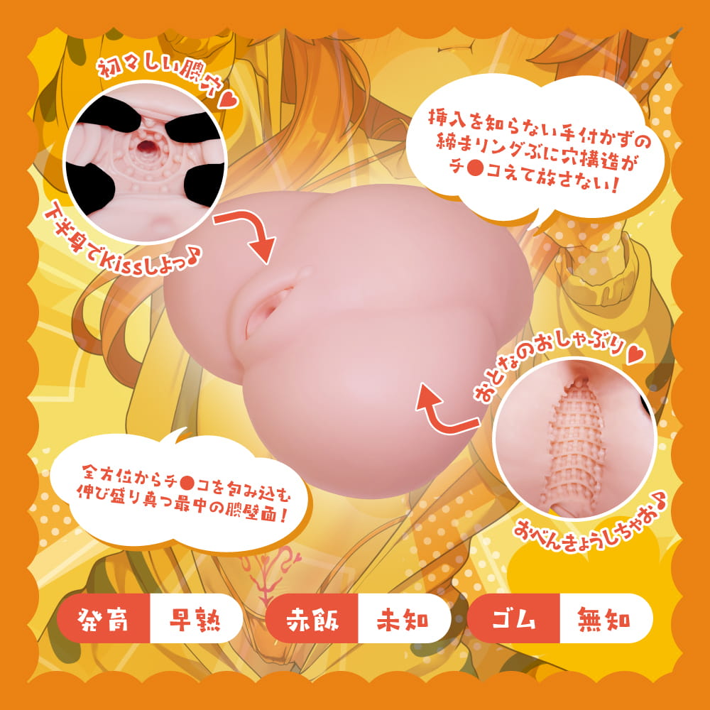 はつはじ内部構造