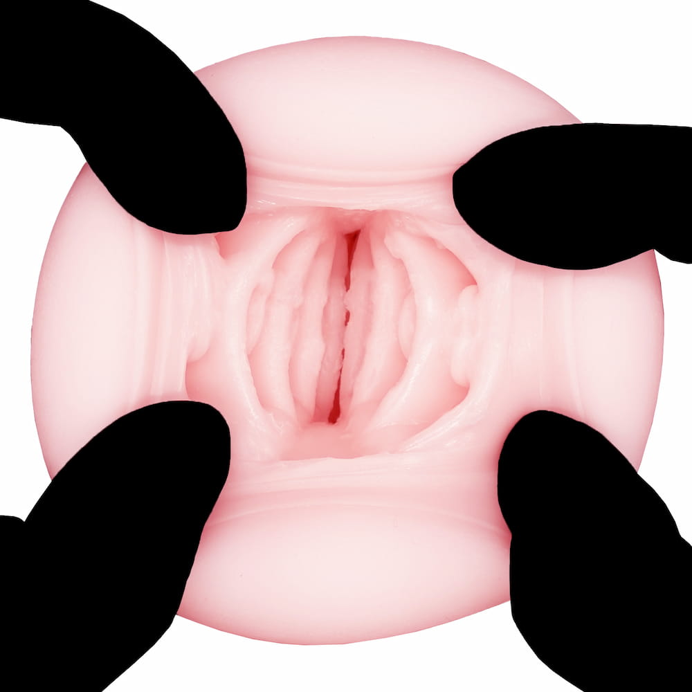 ドーテーボーイズ内部構造２