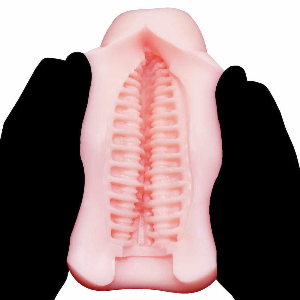 ドーテーボーイズ内部構造3