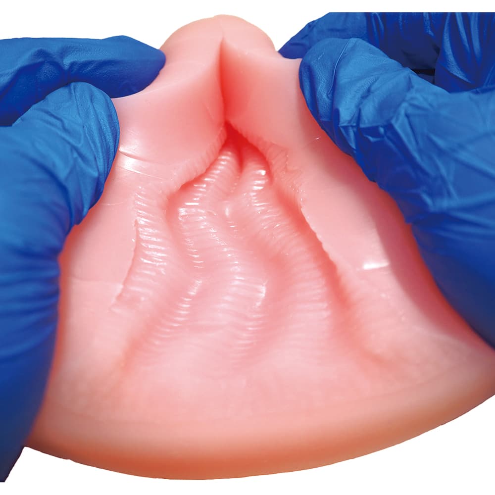 COOLP35内部構造3