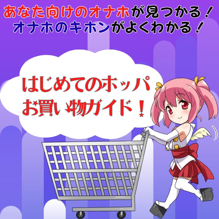 はじめてのオナホール完全ガイド