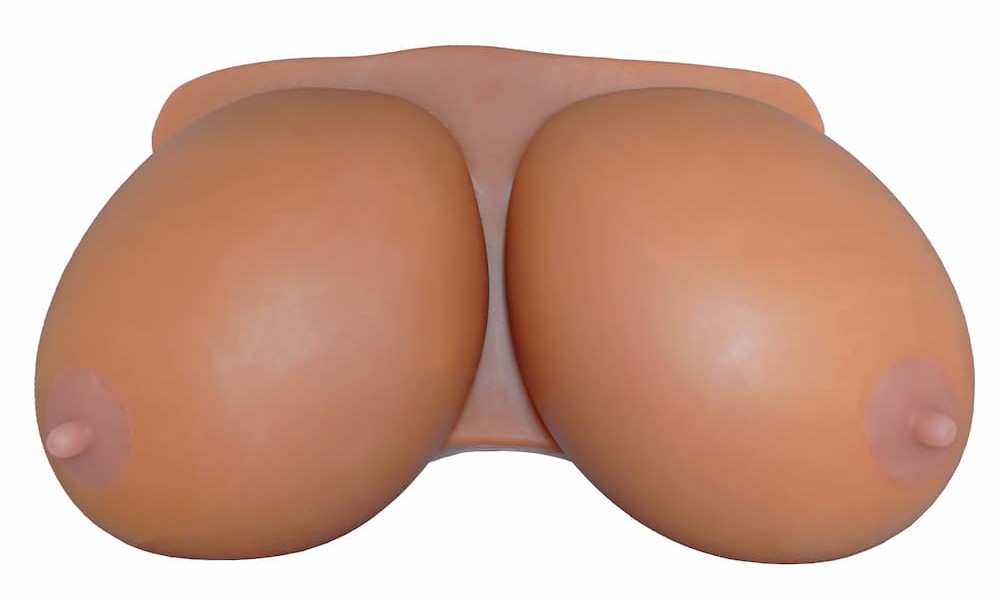 チチサキュバ外観