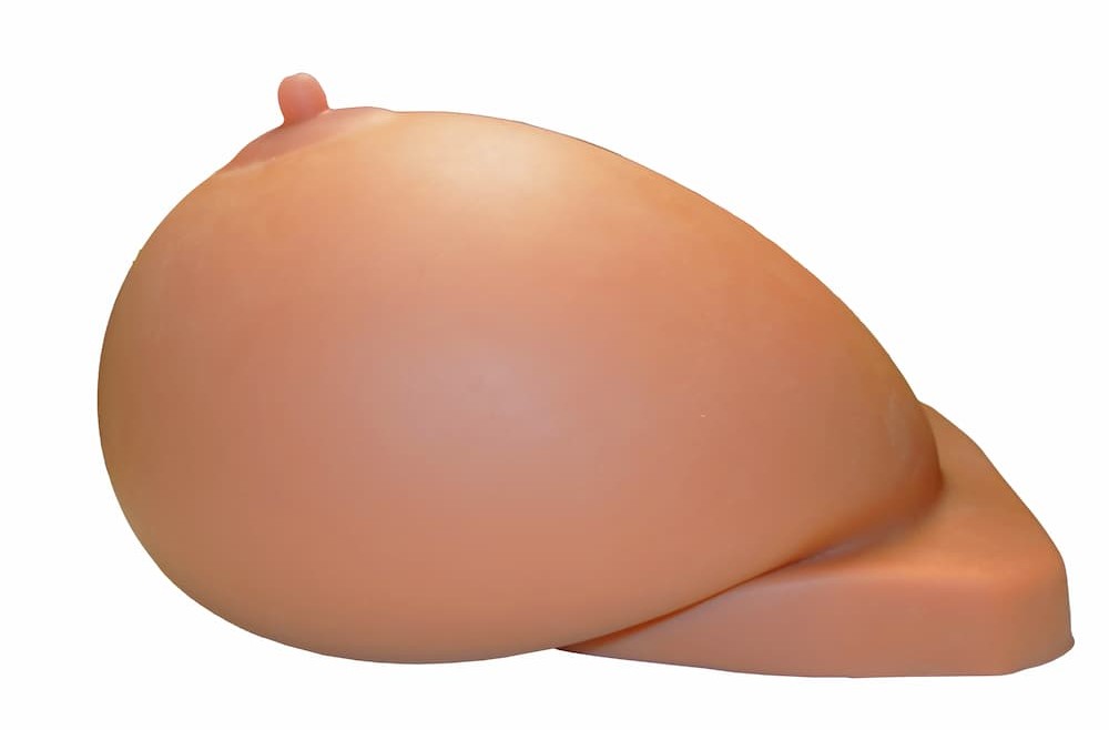 チチサキュバサイドビュー