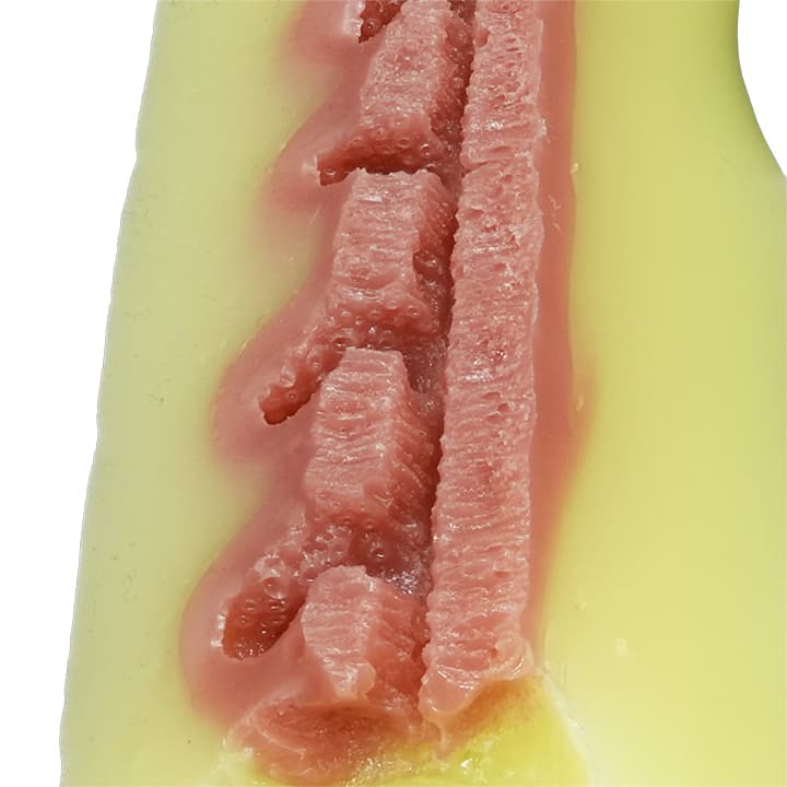 ケモモーンのケモ輪締め