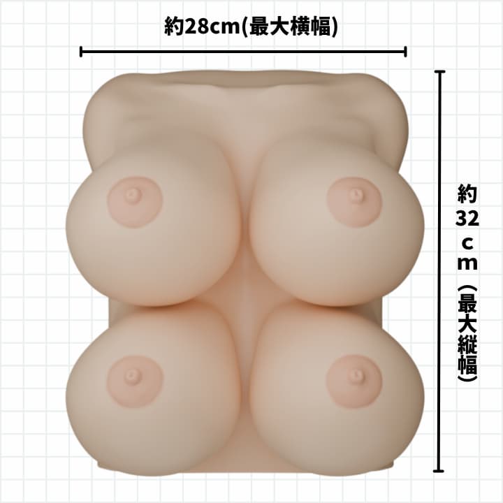 複乳おっぱいの予定されるサイズ表記