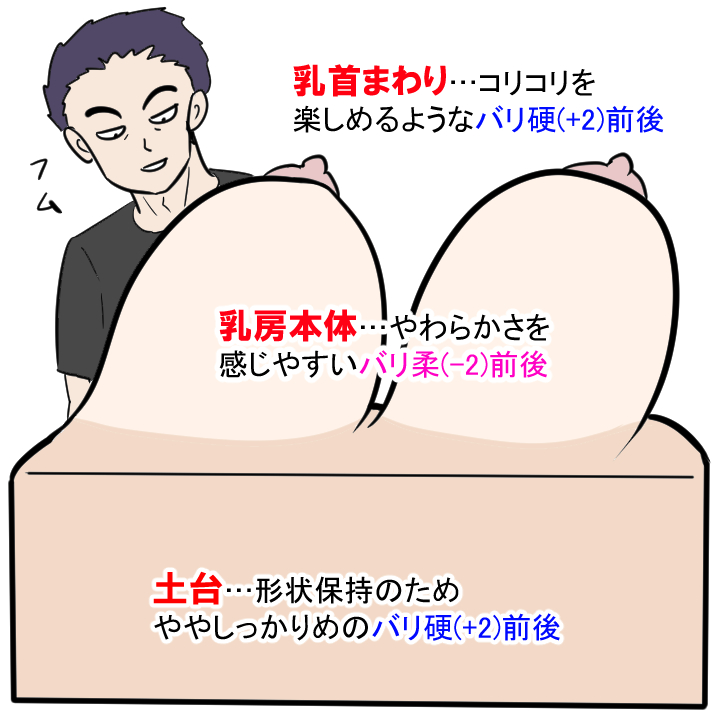 おっぱいの構造イメージ