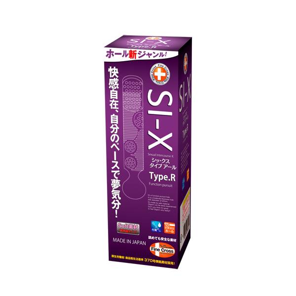 シックス タイプアール(SI-X type.R) / ホットパワーズ