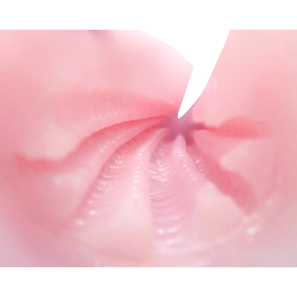 触手裏剣ピンク