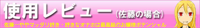 佐藤のレビュー
