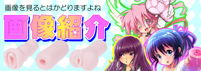 画像紹介