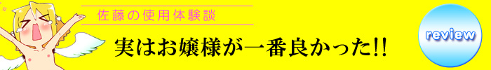 佐藤レビュー