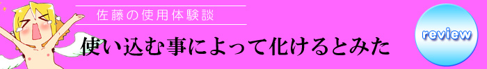 佐藤レビュー