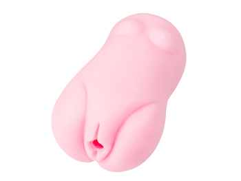 馬鹿で変態なにぃにに、こんなことされるなんて。