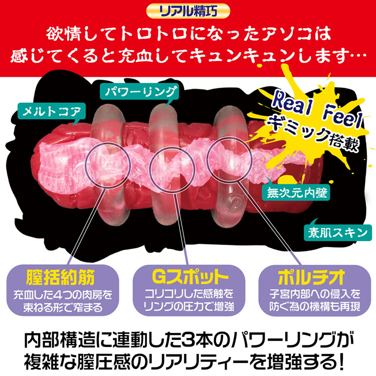 欲情ギミック