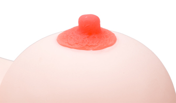 姉おっぱい 2.5次元　