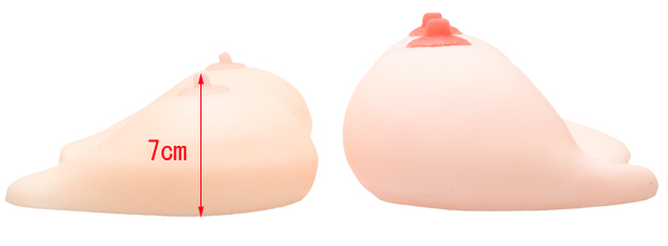 姉おっぱい 2.5次元　