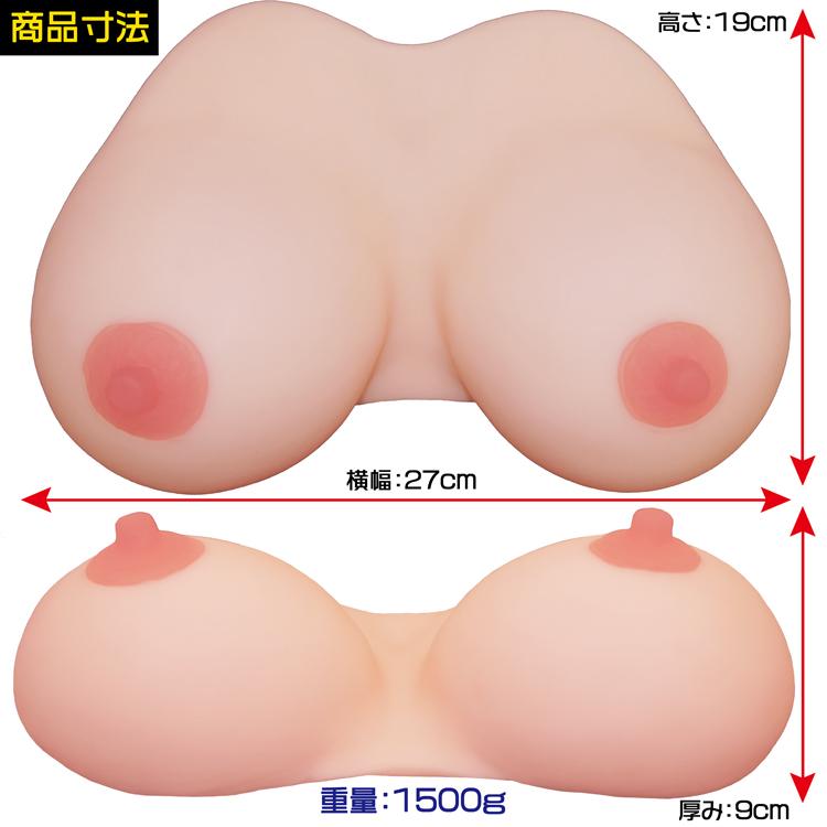 姉おっぱい 2.5次元　