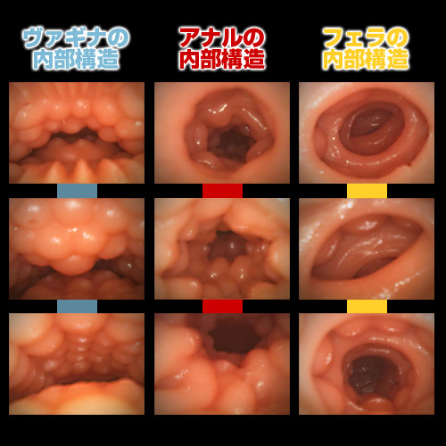 リアル愛人ドール セナ