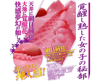 膣天メッシュ