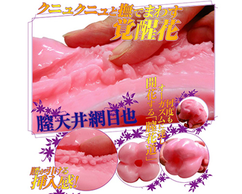膣天メッシュ