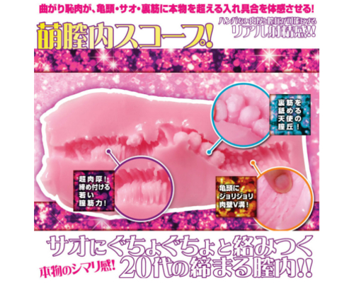 金の萌天