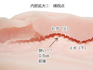 床オナ式名器―亀頭摩擦天国―