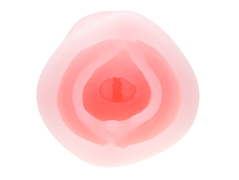 ボクのおなぺっとZERO