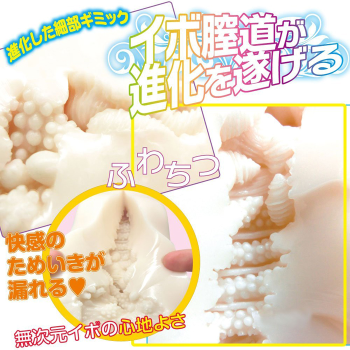 ふわちつイボリューション