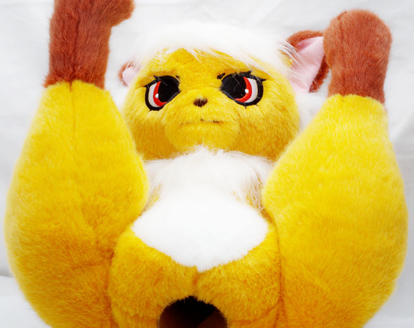 けものひめ きつの