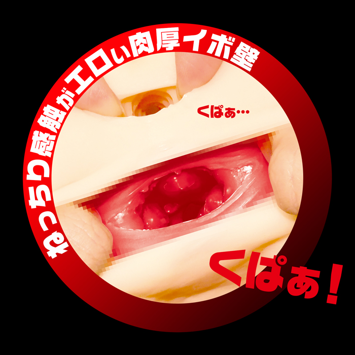 壁尻