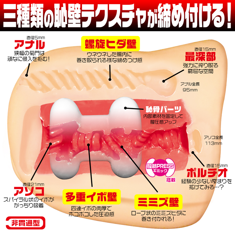 壁尻