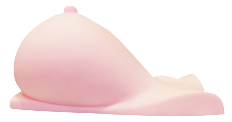 ヤれる子!電車エッチ　あかりちゃんのおっぱい2